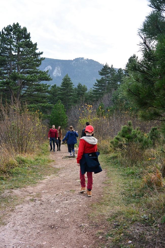 『Pino Nature Hotel』を目指して下ります。