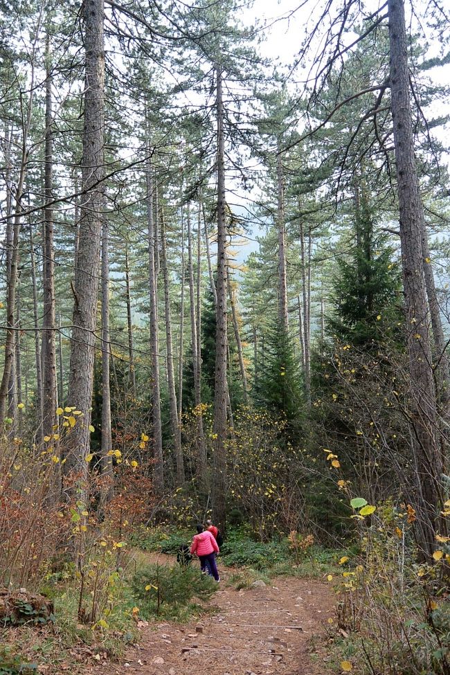 『Pino Nature Hotel』を目指して下ります。