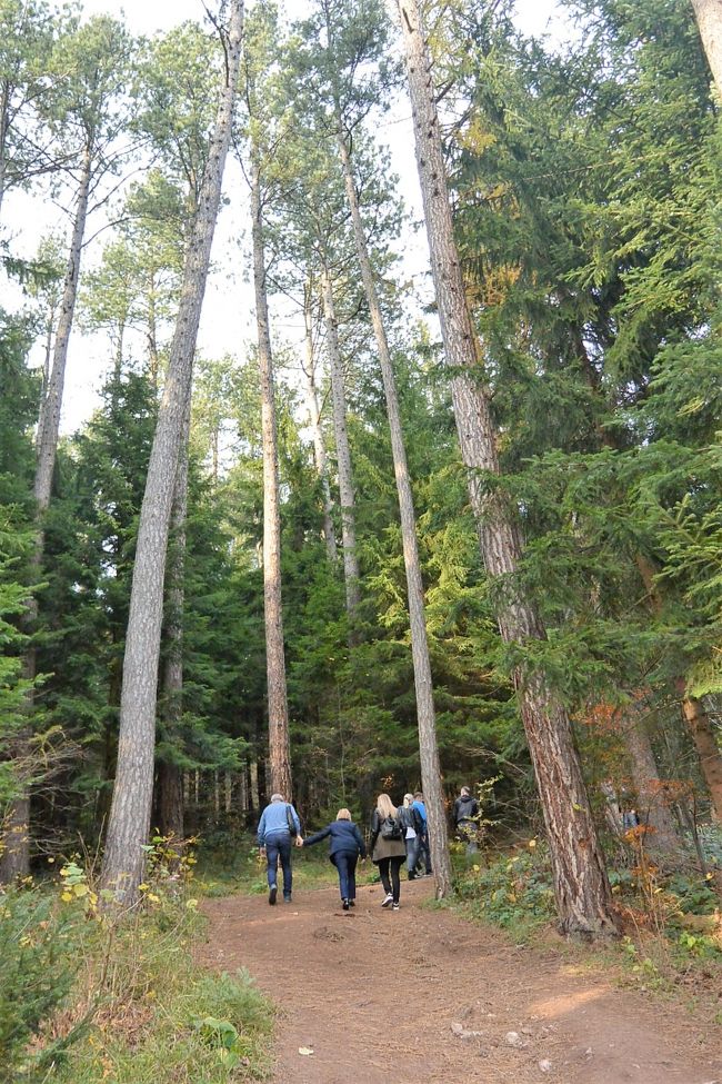 ロープウェイ乗り場から『Pino Nature Hotel』を目指して下ってきたところ。