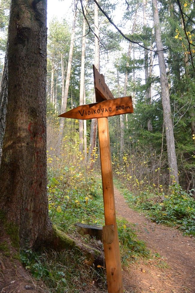 『Pino Nature Hotel』でコーヒーブレイク後、ロープウェイ乗り場に戻ります。