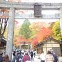 古峰神社の紅葉。