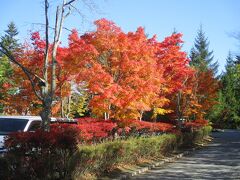 ホテルの敷地内も紅葉真っ盛りでした。