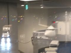 羽田空港 第1旅客ターミナル