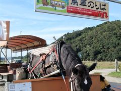 私たちは川下りはしないけど、すぐ帰るのももったいないので京馬車で周遊することにしました。