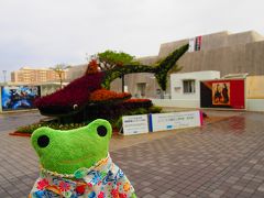 おもろまち方面に来たけろ。
土曜日に博物館のバックヤードツアーがあるので朝9時から受付できるので先に博物館に来たよ。
ジンベエザメがいるけろ！！