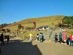 若草山の麓に出てきました。