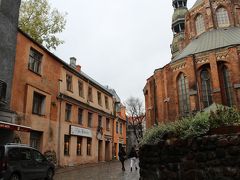 ハチミツ屋さん、見～つけた！