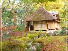 夜間拝観は入れ替え制の清水寺とは違いずっといられる高台寺に。