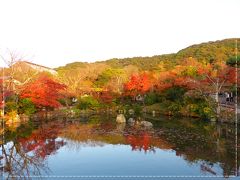 てくてく円山公園を通り抜けていきます。