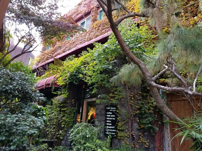 繁華街のど真ん中にあるとは思えないような緑が生い茂った建物です。