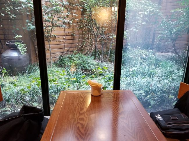 こちらのスモールガーデンが見渡せるテーブルにしました。<br />席に着くと、店員さんがメニューを持ってきてくれました。