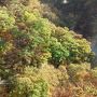 紅葉が始まった老神温泉へ。