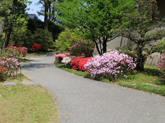 色んな種類のつつじがあって、公園自体もきれいに整備されています。