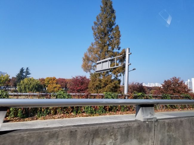 さて、帰りはタクシーで空港まで行きました。<br />途中通りかかった辺りが綺麗に紅葉していました。<br /><br />この時点では大阪はまだ紅葉していません。<br />なので、大邱の方が大阪より少し寒いようです。