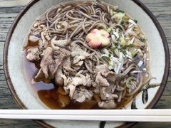 おっと、忘れていました。
遅めの昼食は千頭駅で肉そばを頂きました。美味。


