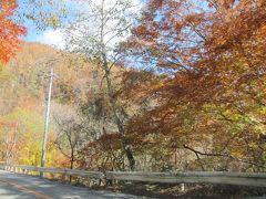 11:50
紅葉が美しい”柳沢峠”を抜けて