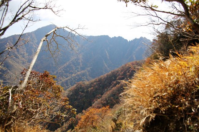 捻挫リハビリ登山 愛鷹山 裾野 長泉 静岡県 の旅行記 ブログ By ほいみさん フォートラベル