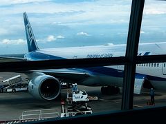 羽田発沖縄那覇行きＮＨ４７３便
　到着が遅れ出発することになった。
　当初は１０分遅れ、更に時間が延び最終的には３０分遅れで那覇へ向かう。
　機内は満席状態で我々夫婦も離席での出発。