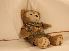 おはよう。朝だよー
って言っても、この人もあの人の起きてこないので1人で朝の散歩に出かけます。