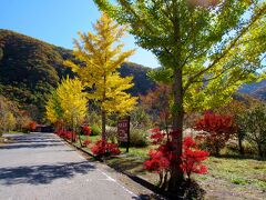 野岩鉄道・会津鬼怒川線　上三依塩原温泉口駅です。
この駅のいちょうと紅葉はとても綺麗です。　
栃木県日光市上三依804
