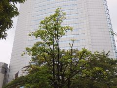 高崎市役所。立派な高層ビル