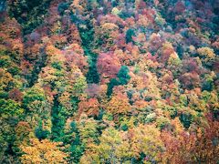 天気が悪いため良い色ではありませんが目で見ると素晴らしい紅葉が見られました♪