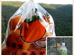 道の駅大歩危でゲット♪ JA土佐の山北みかん めちゃめちゃ甘かった！

温泉のお供に水分補給として買ったすだちウォーターにもハマった

