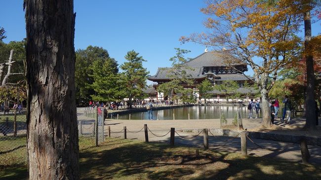 　これから先は例のインバウンドと正倉院展そして興福寺の北円堂の公開で大混雑、とてもトレンクルの出番はありません。早々に退散ですが、今日一番の大仕事が残っています。それは、鹿の購入です。猿沢の池周辺の出店に吊されているのを発見、二頭購入です。会社を定年退職して親の店を引き継いだという店主曰わく「観光客は増えたが昔ながらの土産にはあまり・・・」と嘆く。そのようなことは税務署相手に嘆くもの、間口二間、奥行き一間にしては大層効率の良い商売ですねと答える。　<br /><br />　大仏殿正面辺り