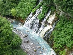 橋の上から。崖の途中から流れ出ています。確かにヒゲのような滝です。