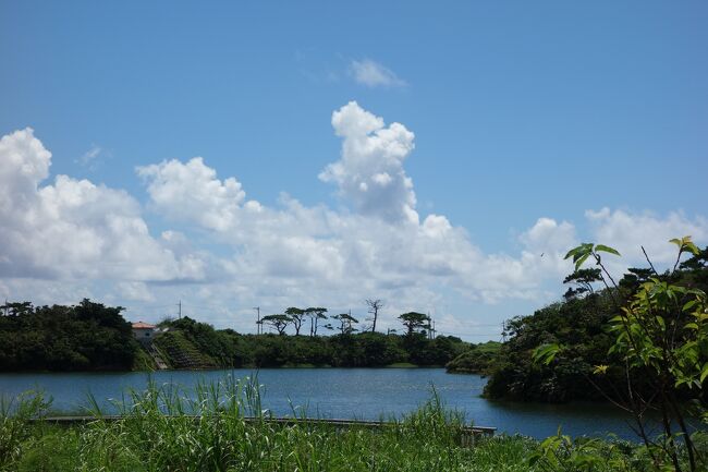 五枝の松の近くにある湿地帯