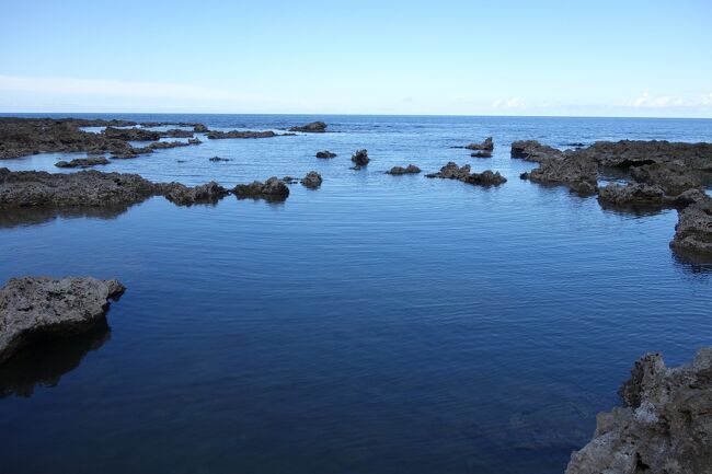 小さな魚が沢山いました。