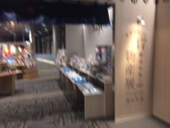 羽田空港国内線第1ターミナル展望デッキ (ガリバーズデッキ)