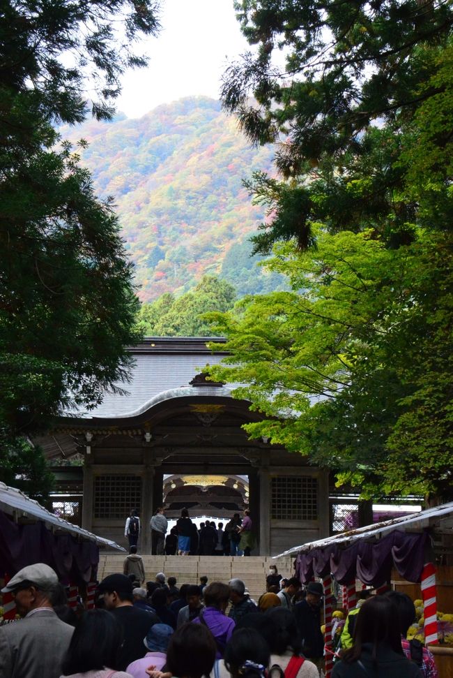 参拝客で混みあっています。奥に見える弥彦山の紅葉もきれいですね。