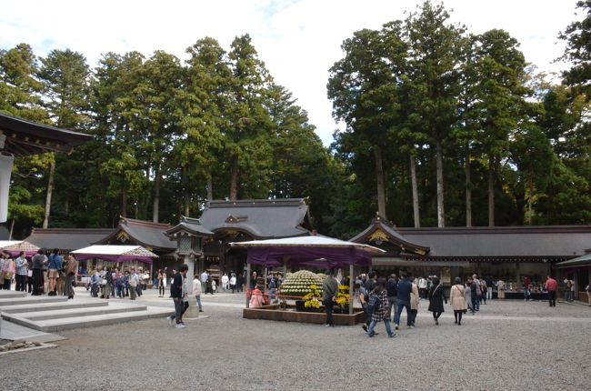 広く開けた境内です。