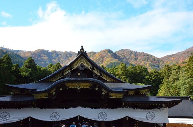 青空に山の紅葉が映えてきれいです。