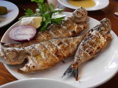 美味しいお魚が食べたい トラブゾンで過ごすのどかな週末 黒海地方の独特な文化に触れる旅 トラブゾン トルコ の旅行記 ブログ By Mishmishさん フォートラベル 美味しいお魚が食べたい トラブゾンで過ごすのどかな週末 黒海地方の独特な文化に触れる旅 トラブゾン トルコ の旅行記 ブログ By Mishmishさん フォートラベル