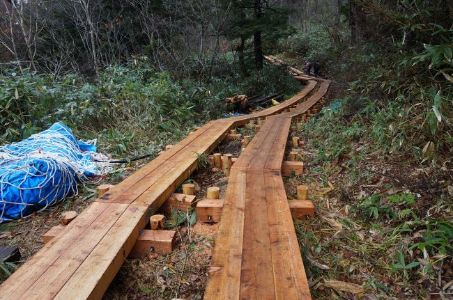 戸倉からさらにバスで鳩待峠に到着～。<br />・・・人の数が少ない。<br /><br />早速歩き始めて、この新しい木道を発見！<br />一人で興奮してました！！<br />なぜならこの木道、2週間前まではまだ古かったから！！<br />この2週間で付け替えたんですねー！<br /><br />