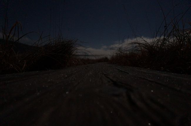 木道に置いて、木道を撮る。<br />キラキラしてるのは、多分霜がおりたから。