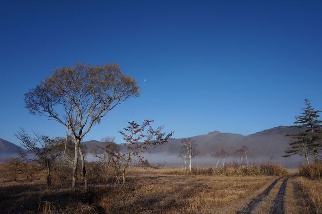 しかし今日は本当に良い天気だ！
