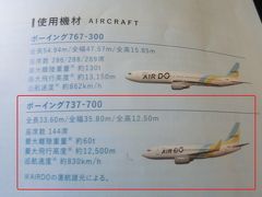 飛行機での移動