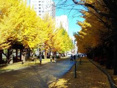 朝の中島公園

ちょうど紅葉が綺麗で、たくさんの人が写真を撮っていた。

ホテルから徒歩で行ったけれど、公園の中に地下鉄の駅もあって便利な所