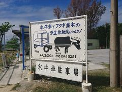 お店のすぐ隣で、気になる看板を見つけて乗ってみることにしました。4人で2000円、1人でも2000円という、私たちにはラッキーな料金設定でした。