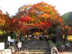 バスに乗って、この日最後となる高源寺へ向かいます。高源寺は丹波古刹と関西花の寺の札所であり、北近畿を代表する紅葉スポットの1つでもあります。鎌倉時代に遠谿祖雄禅師によって建立された名刹。入口の紅葉がきれいで、絶好の撮影スポットです。