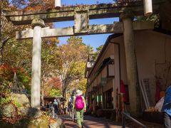 歩くのは結構見える感覚と違って大変ですが、実はサングラスを掛けることで、紅葉がより一層綺麗に見えるのはちょっとお得ですね。

写真：金櫻神社