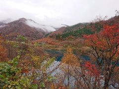 温泉街から少し奥にある奥四万湖！
ここも紅葉真っ盛り！！
とてもキレイな景色です。