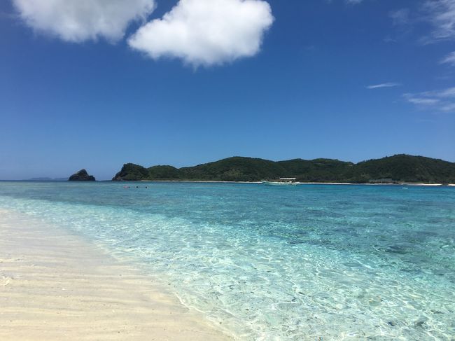 ウミガメに会いたい 座間味島 18 7月 慶良間諸島 沖縄県 の旅行記 ブログ By ひろさん フォートラベル