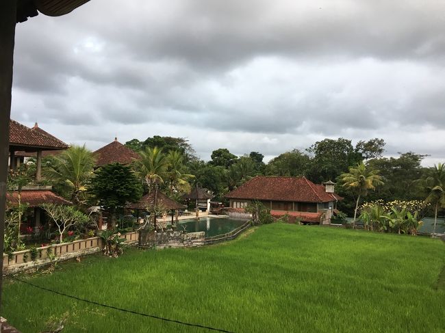 テラスから見えるライスフィールドがいい感じです☆