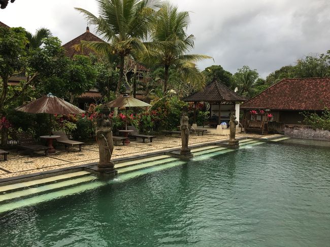 食後はコーヒー持ってプールサイドに移動してまったりタイム<br />ウブドでは毎日どんよりのお天気でプールには入れず残念！