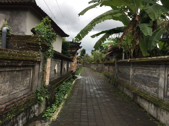 カティランタン村に入ったら雨がポツポツと・・・