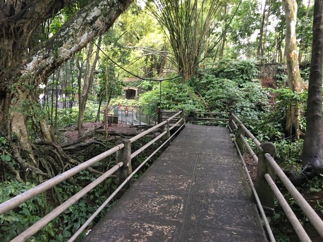 モンキーフォレストの横の脇道を通過して～